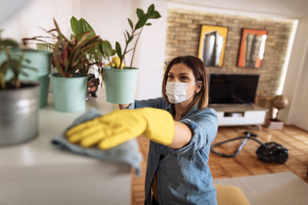 5 Great Dusting Tricks 1 Great dusting tricks Great dusting tricks