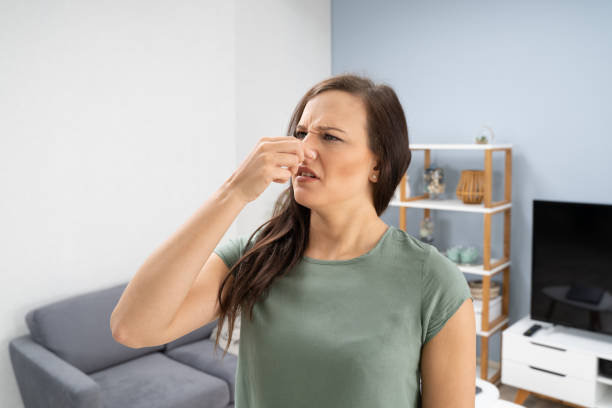 4 Steps to remove offensive odors at home 1 remove offensive odors at home Tips to remove offensive odors at home