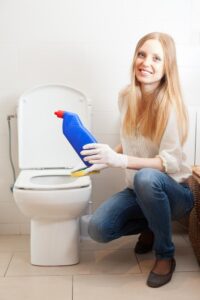 House Cleaning Services 10 Clean a toilet Clean a toilet